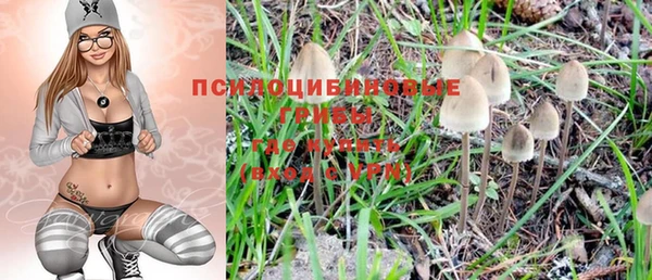 гашик Зеленокумск