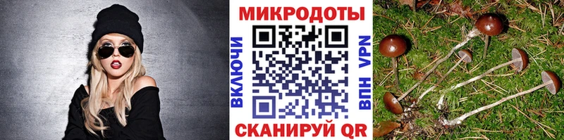Галлюциногенные грибы Magic Shrooms цена Голицыно